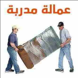 هتنزل العفش ازاى؟
السلم ضيق وممكن يتخدش!🤔
هحتاج كام واحد يشيل وكام عربية؟
متشغلش بالك بالاسئلة دى كل اللى عليك تكلم الرائد لنقل الاثاث
وهننقلك عفشك لبيتك الجديد بآمان ومن غير ما يتعرض لاى خدش او تكس...