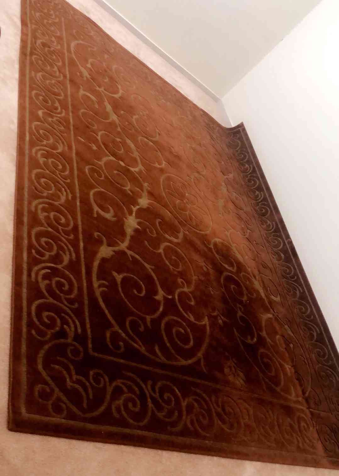 سجاد شبه جديد من نوع فاخر جديد ونظيف جداً بسعر مغري مع طاوله مجاناً                                            


	 				لا تنسَ أنك شاهدت هذا الإعلان في عنكبوت...