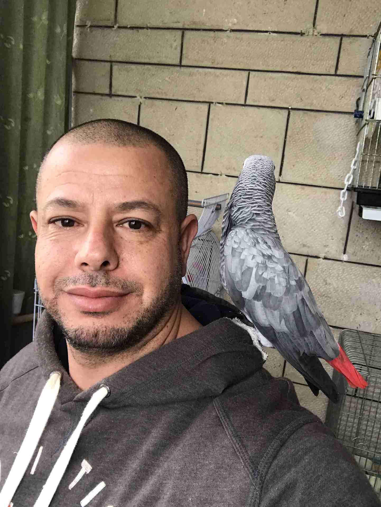 كاسكو عدد 2 للبيع
لا تنسَ أنك شاهدت هذا الإعلان في عنكبوت
كاسكو لون ثلجي بحكي 30 كلمه 370 دينار
ك...
