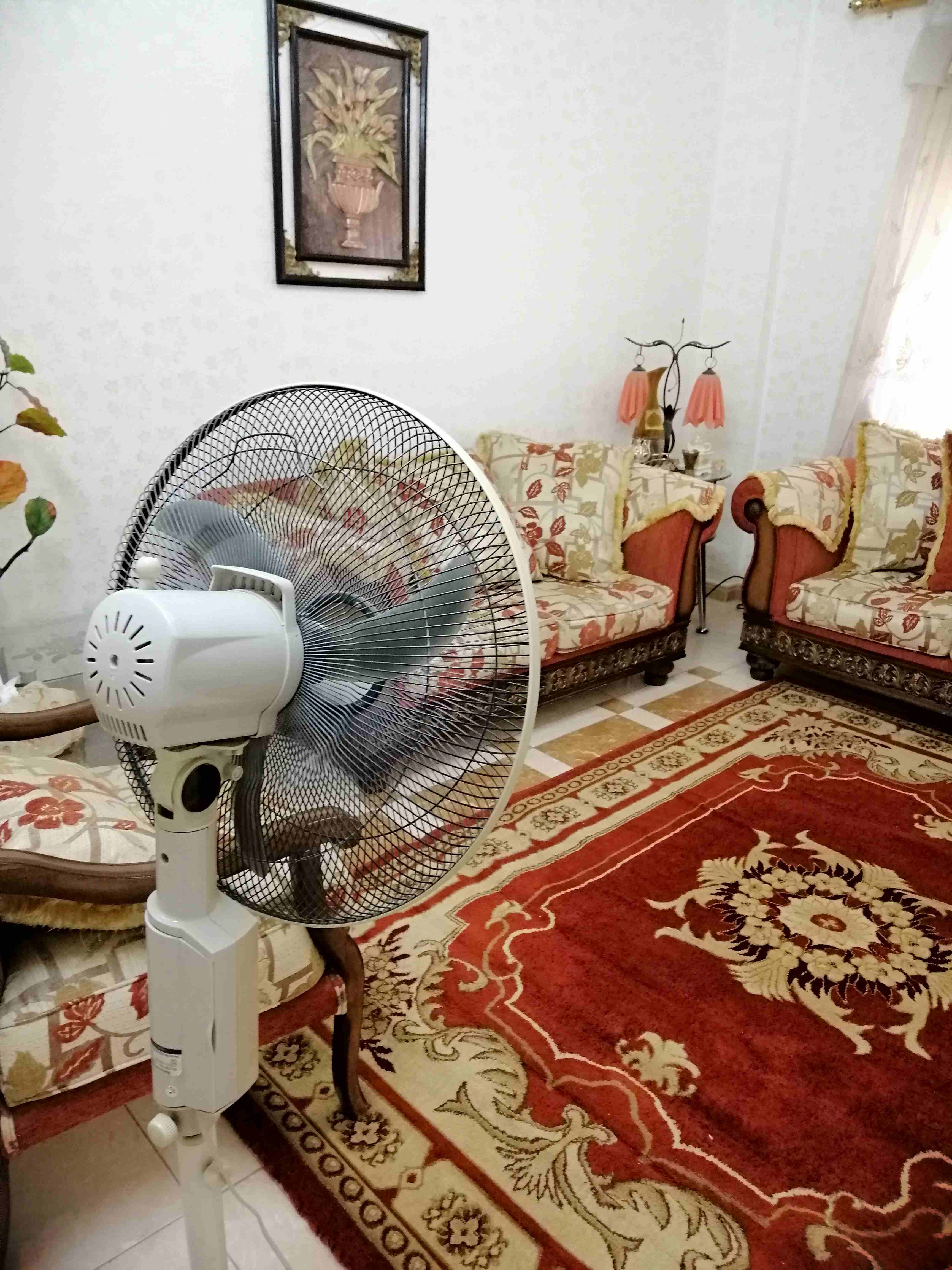 طقم ضيوف بحالة ممتازة
لا تنسَ أنك شاهدت هذا الإعلان في عنكبوت
طقم كنب 7مقاعد استعمال خفيف - ل...