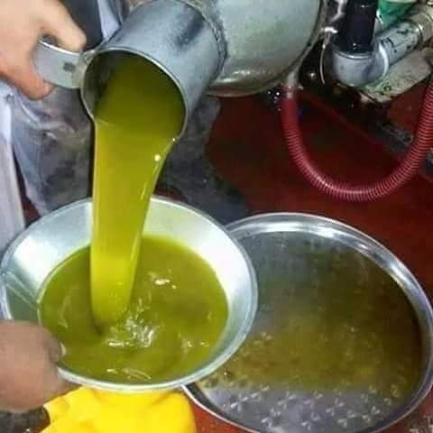 زيت زيتون اصلي من زيت قرى لواء الوسطيه/اربد                                            


	 				لا تنسَ أنك شاهدت هذا الإعلان في عنكبوت            
	 				
                                يتوفر لدي...