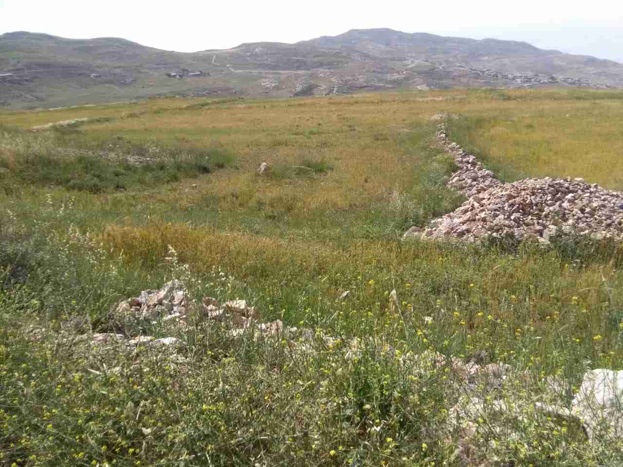ارض للبيع في الكرك                                            


	 				لا تنسَ أنك شاهدت هذا الإعلان في عنكبوت            
	 				
                                ارض مميزة للبيع في الكرك قرية عي م...