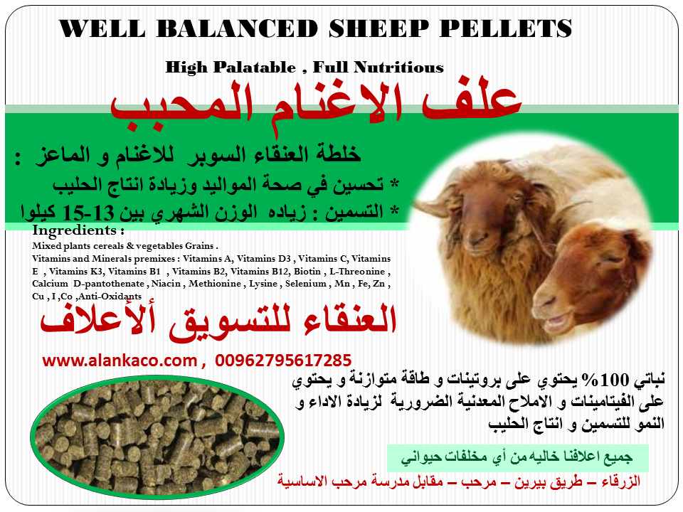 علف العنقاء المحبب اغنام و ماعز                                            


	 				لا تنسَ أنك شاهدت هذا الإعلان في عنكبوت            
	 				
                                خلطة العنقاء السوبر...