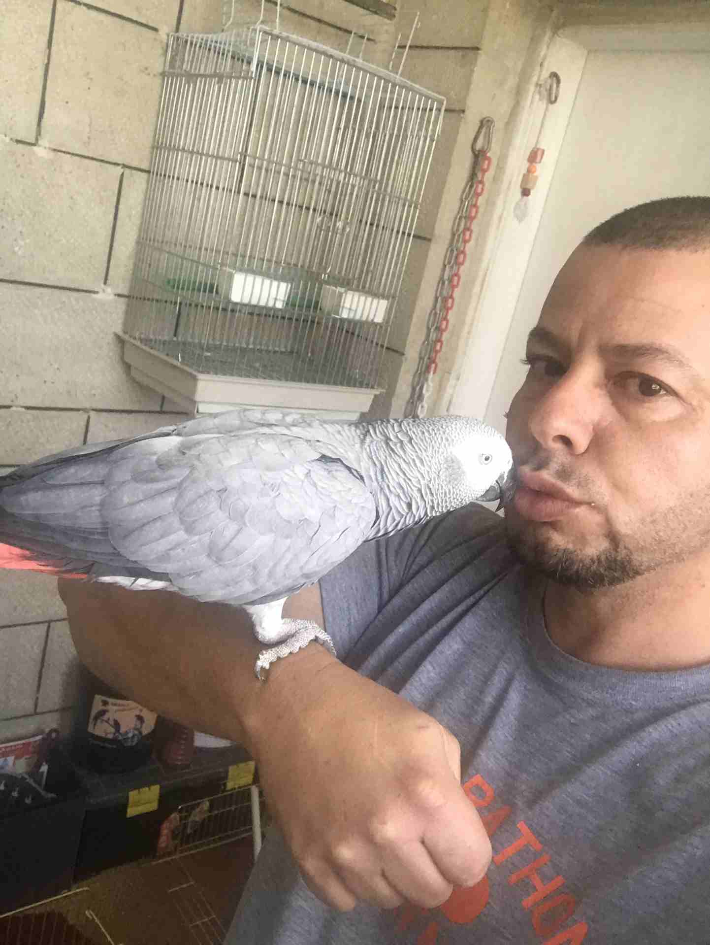 كاسكو عدد 2 للبيع
لا تنسَ أنك شاهدت هذا الإعلان في عنكبوت
كاسكو لون ثلجي بحكي 30 كلمه 370 دينار
ك...