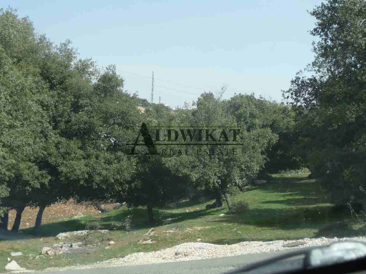 ارض للبيع بدر الجديده حوض الميسر                                            


	 				لا تنسَ أنك شاهدت هذا الإعلان في عنكبوت            
	 				
                            رقم الاعلان 1635
ارض لل...