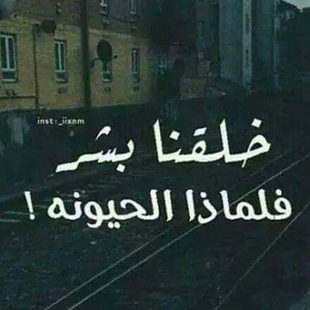 الراشد لترحيل المنازل وفك وتركيب الاثاث المحلي والاجنبي
لا تنسَ أنك شاهدت هذا الإعلان في عنكبوت...