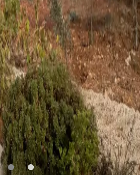 للببع...للبيع ... بيت مساحه 305م على دونم بدفعه 50 الف واقساط او بدل بشقه
لا تنسَ أنك شاهدت هذا الإعلان في عنكبوت...