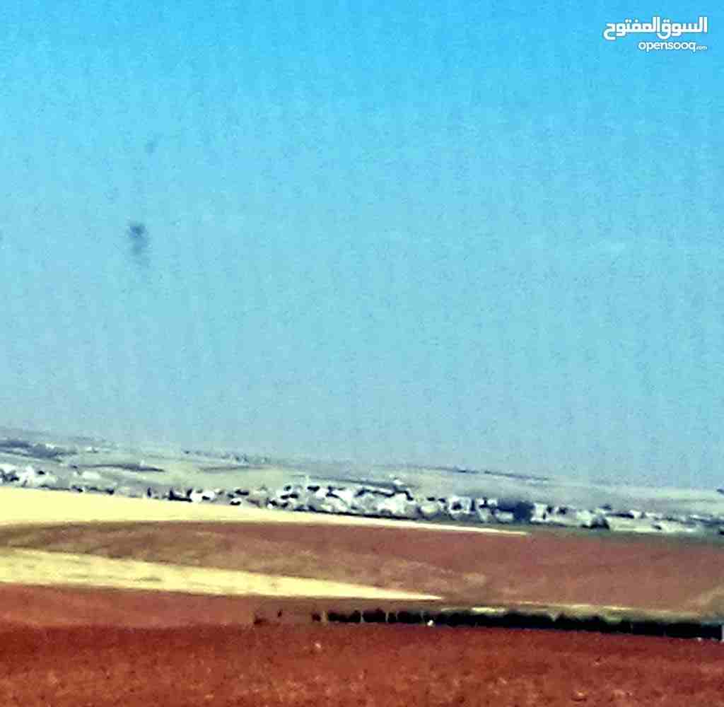قطع 8 دنم وغير ---في ذيبان جنوب مادبا --قطع كف وتربه حمراء -يوجد مخدوم --او قرب الخدمات ==للبيع                                            


	 				لا تنسَ أنك شاهدت هذا الإعلان في عنكبوت...