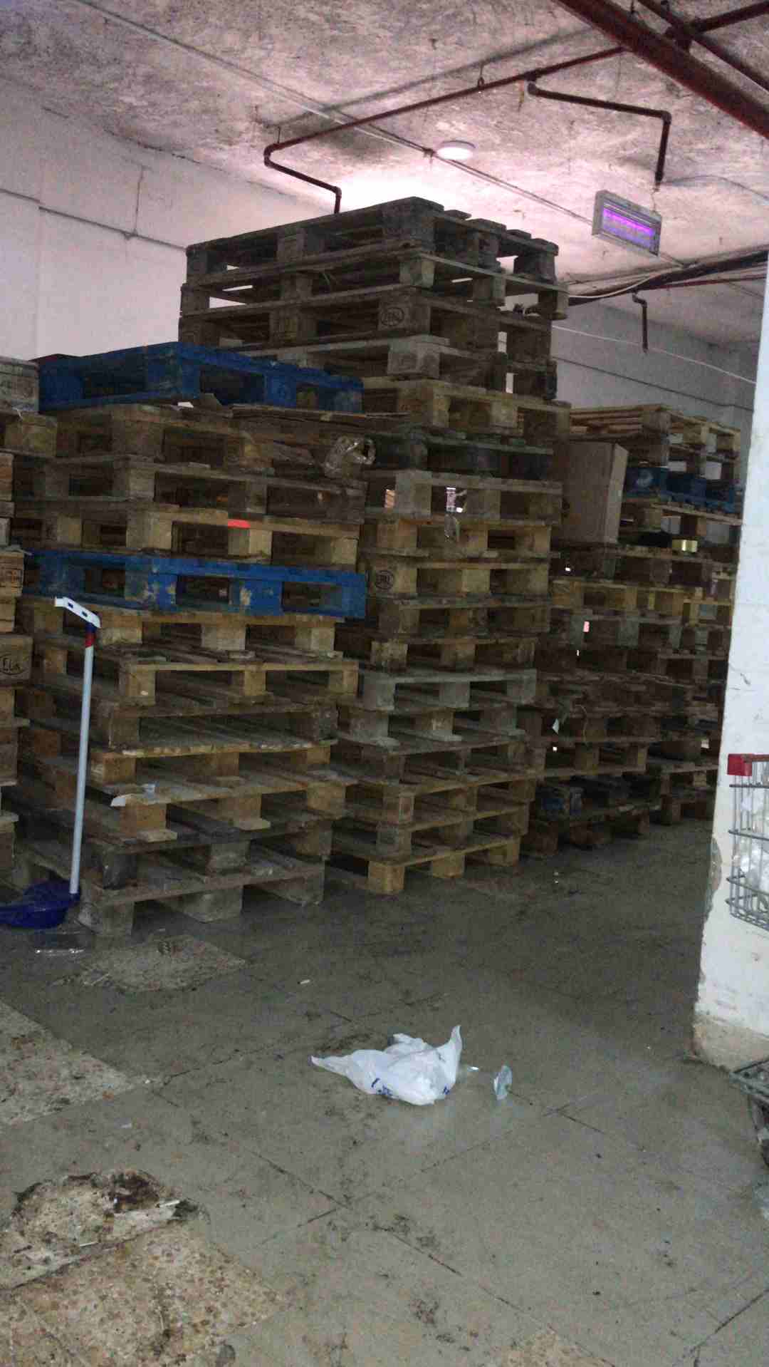 طبالي خشب للبيع بسعر مغري 250طبليه
لا تنسَ أنك شاهدت هذا الإعلان في عنكبوت
بيع طبالي خشب بسعر مغر...