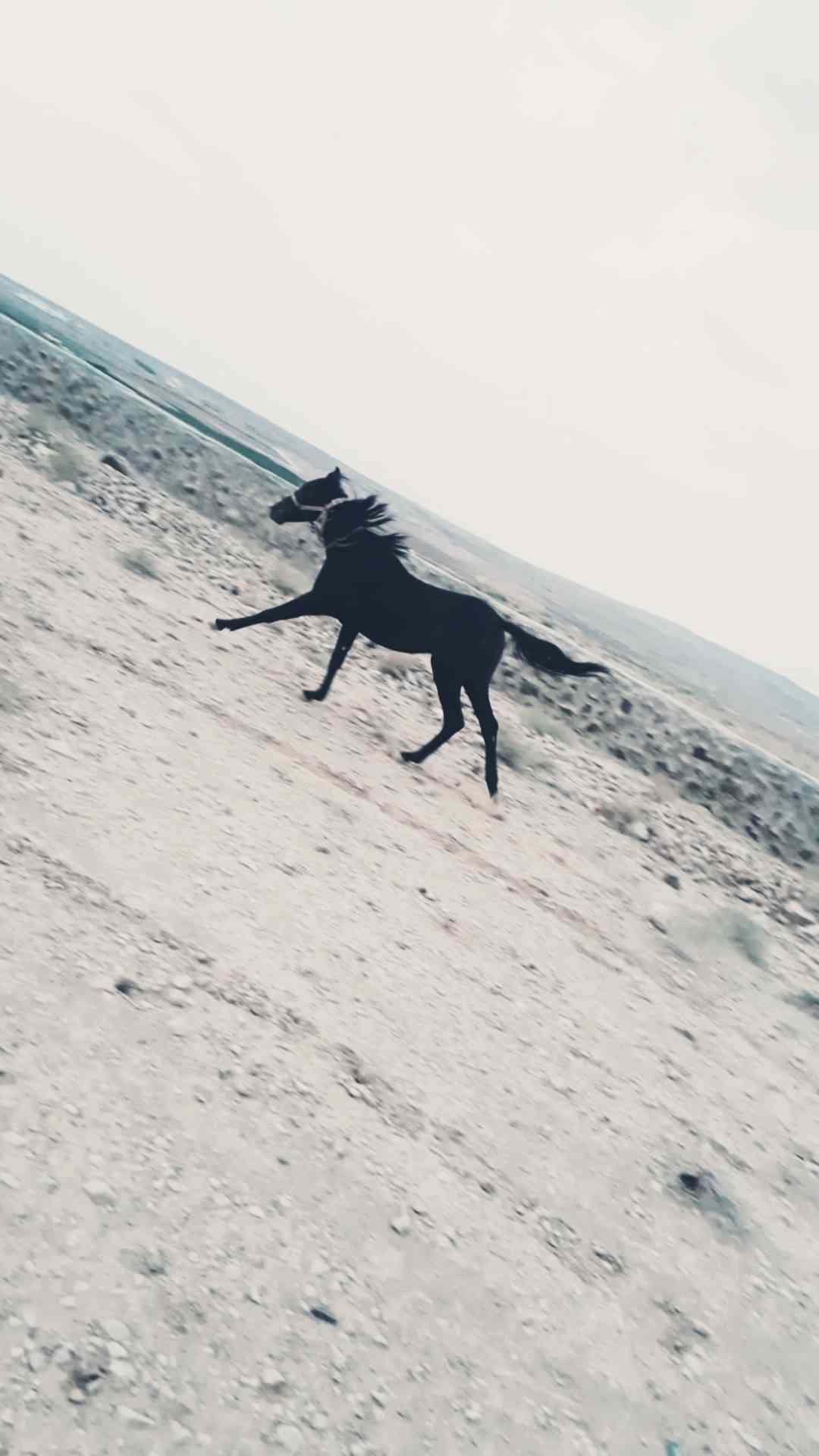 مهر للبيع بّدِاْعيَ الُسِفَرَ
لا تنسَ أنك شاهدت هذا الإعلان في عنكبوت
صلي على الُنَبّيَ مٌُهر...