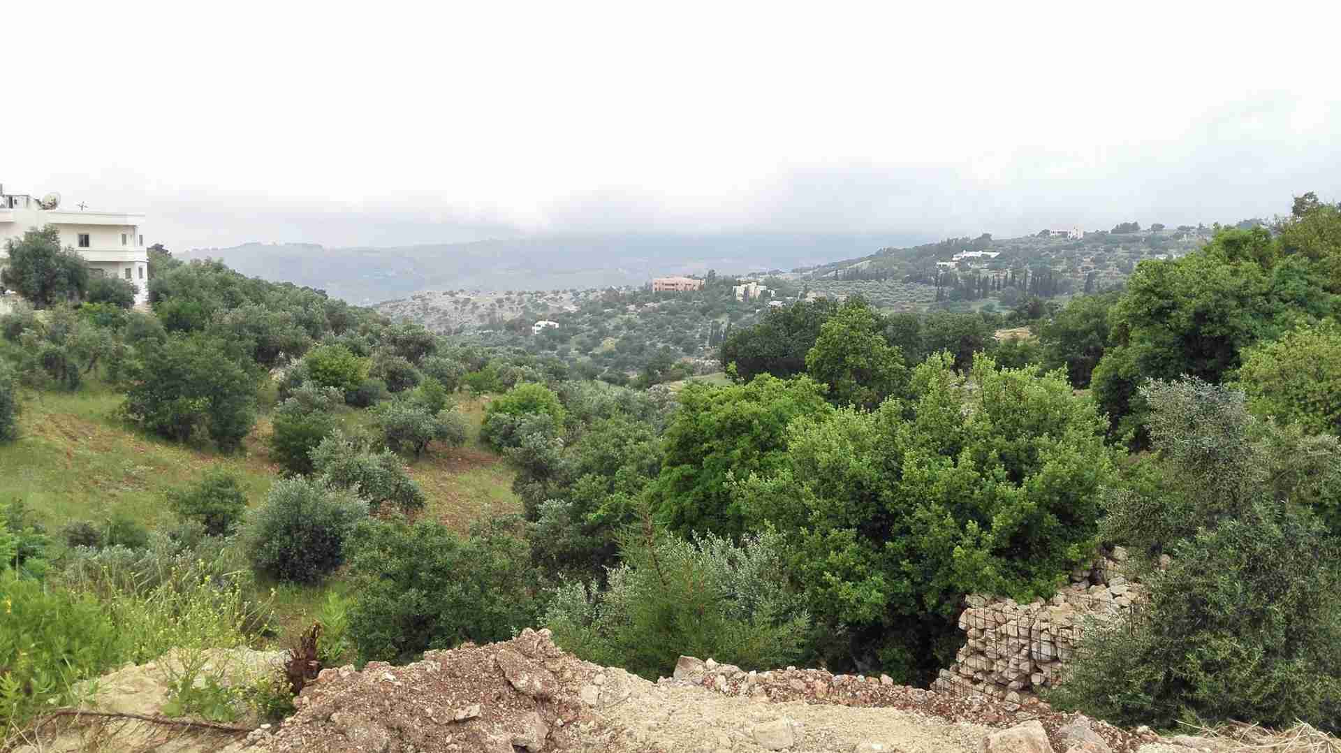 للبيع 633م الكاشف بدر الجديده
لا تنسَ أنك شاهدت هذا الإعلان في عنكبوت
أرض للبيع ، بدر الجديده...