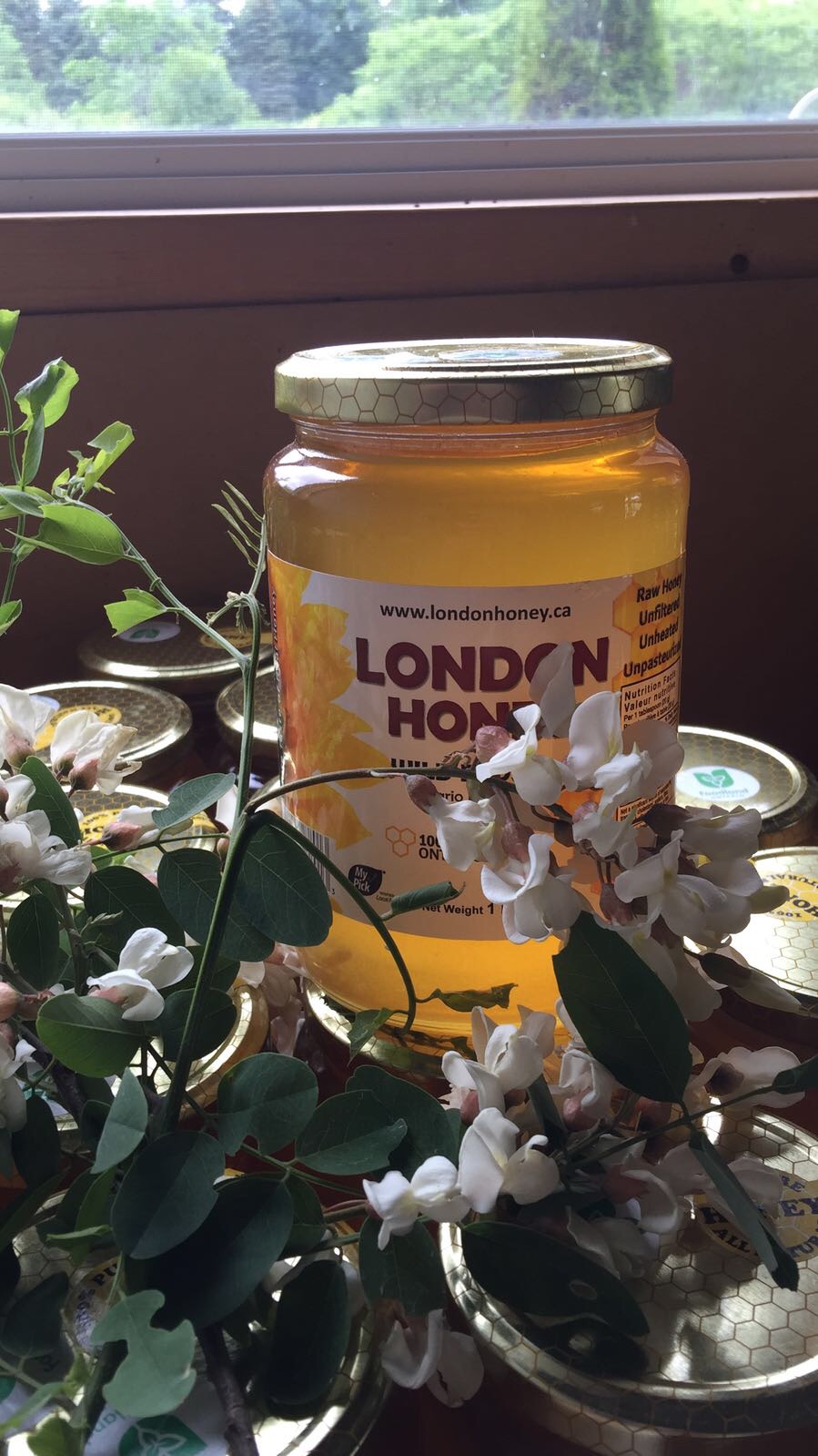 عسل كندي طبيعي حر صافي raw honey
لا تنسَ أنك شاهدت هذا الإعلان في عنكبوت
عسل حر انتاج مراعي ك...