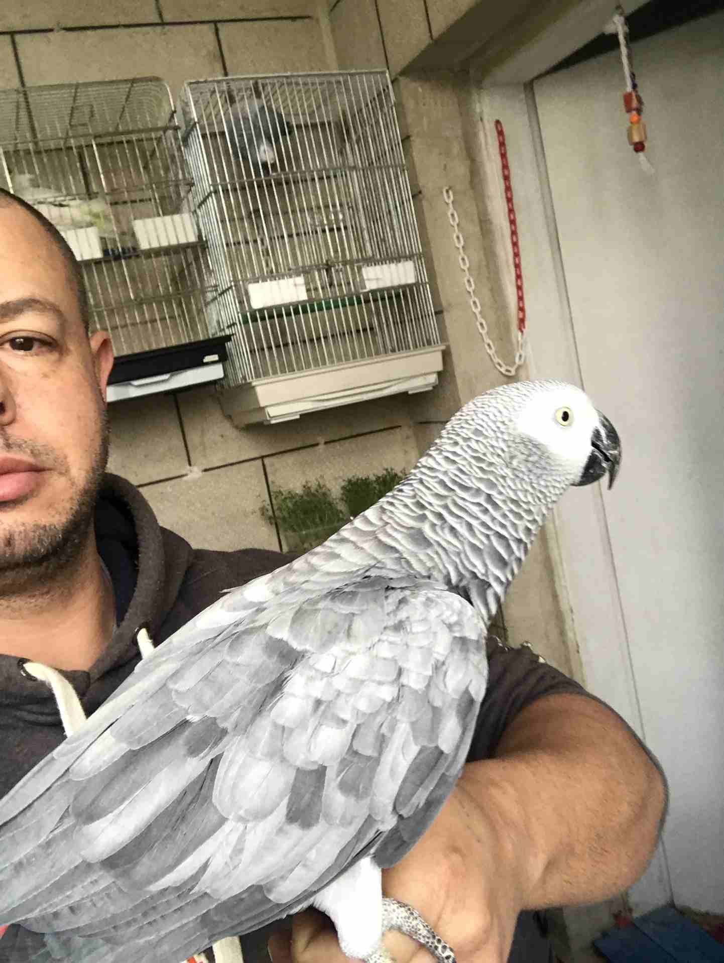 كاسكو عدد 2 للبيع
لا تنسَ أنك شاهدت هذا الإعلان في عنكبوت
كاسكو لون ثلجي بحكي 30 كلمه 370 دينار
ك...
