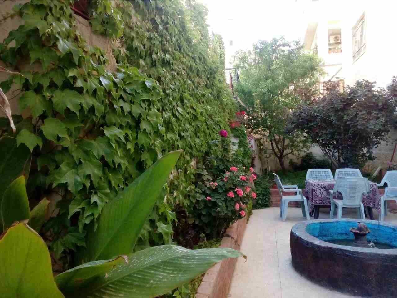 بسعر ممتاز شقه  200م مع حديقه 136م  في مرج الحمام                                            


	 				لا تنسَ أنك شاهدت هذا الإعلان في عنكبوت            
	 				
                            منطقه ح...
