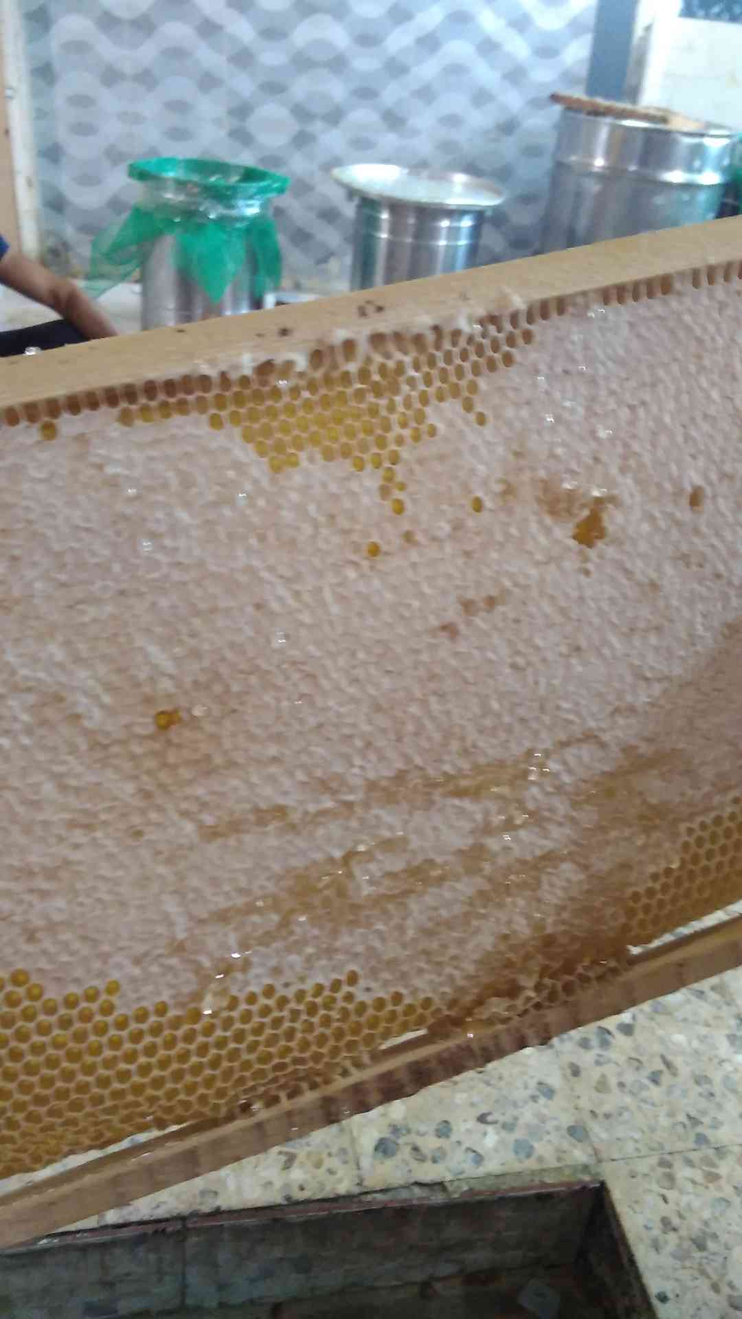 عسل بلدي
لا تنسَ أنك شاهدت هذا الإعلان في عنكبوت
بسم الله الرحمان الرحيم
يوجد جميع انواع العس...