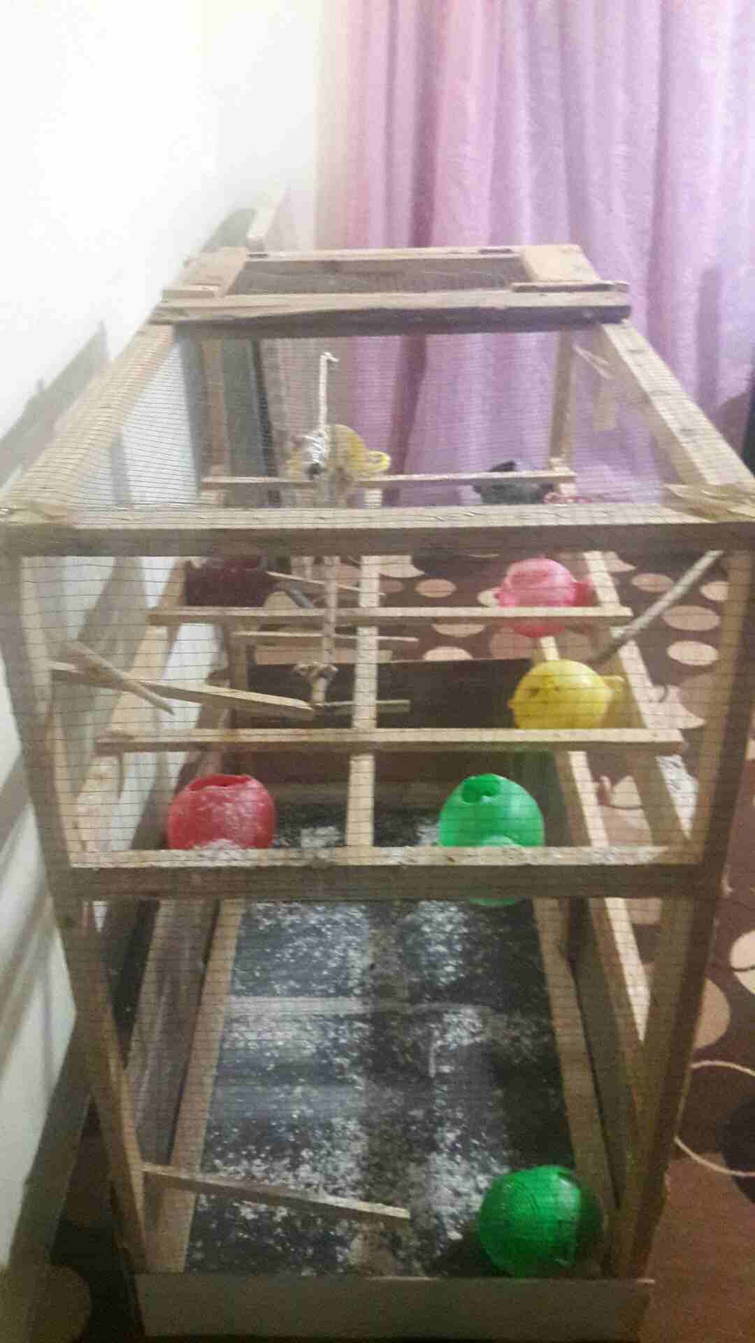 مطير تفصيل للبيع                                            


	 				لا تنسَ أنك شاهدت هذا الإعلان في عنكبوت            
	 				
                            مطير تفصيل للبيع او البدل بسعر مغري للجا...