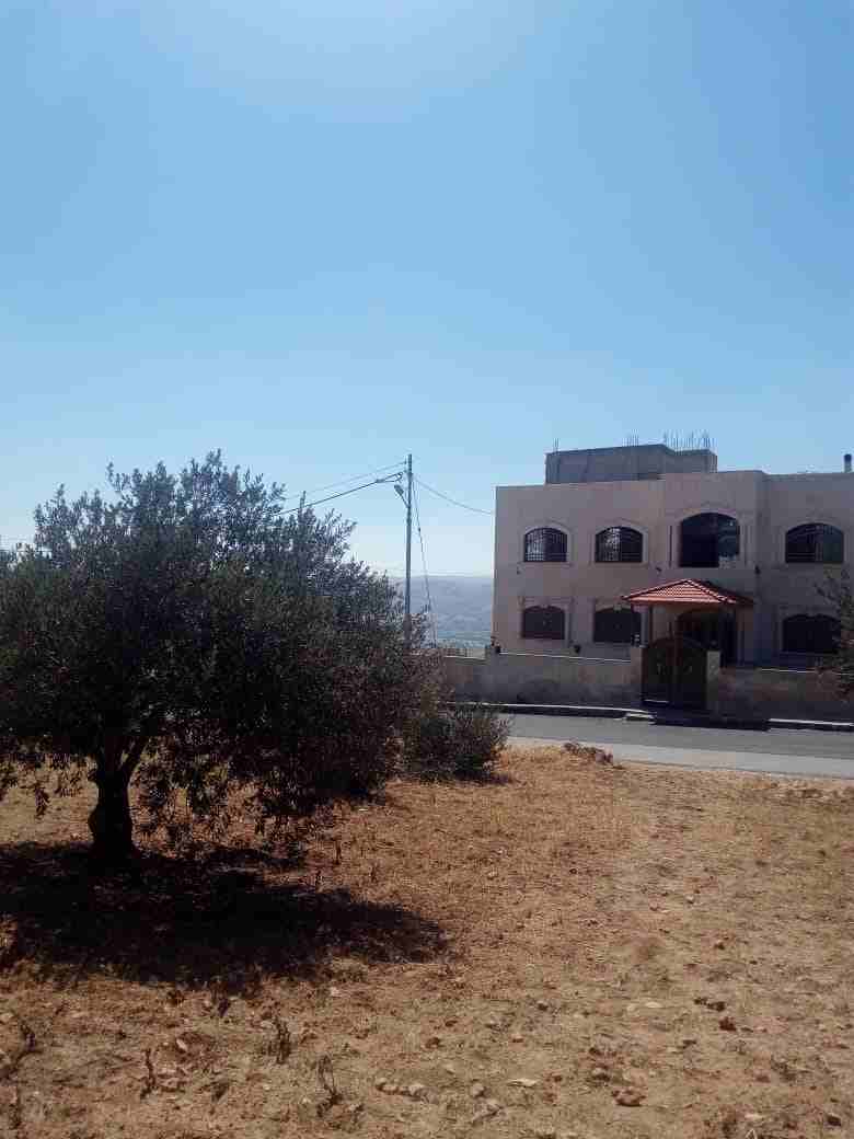 850 متر ابو نصير حوض ام بطمه موقع مميز من المالك
لا تنسَ أنك شاهدت هذا الإعلان في عنكبوت
ارض مسا...