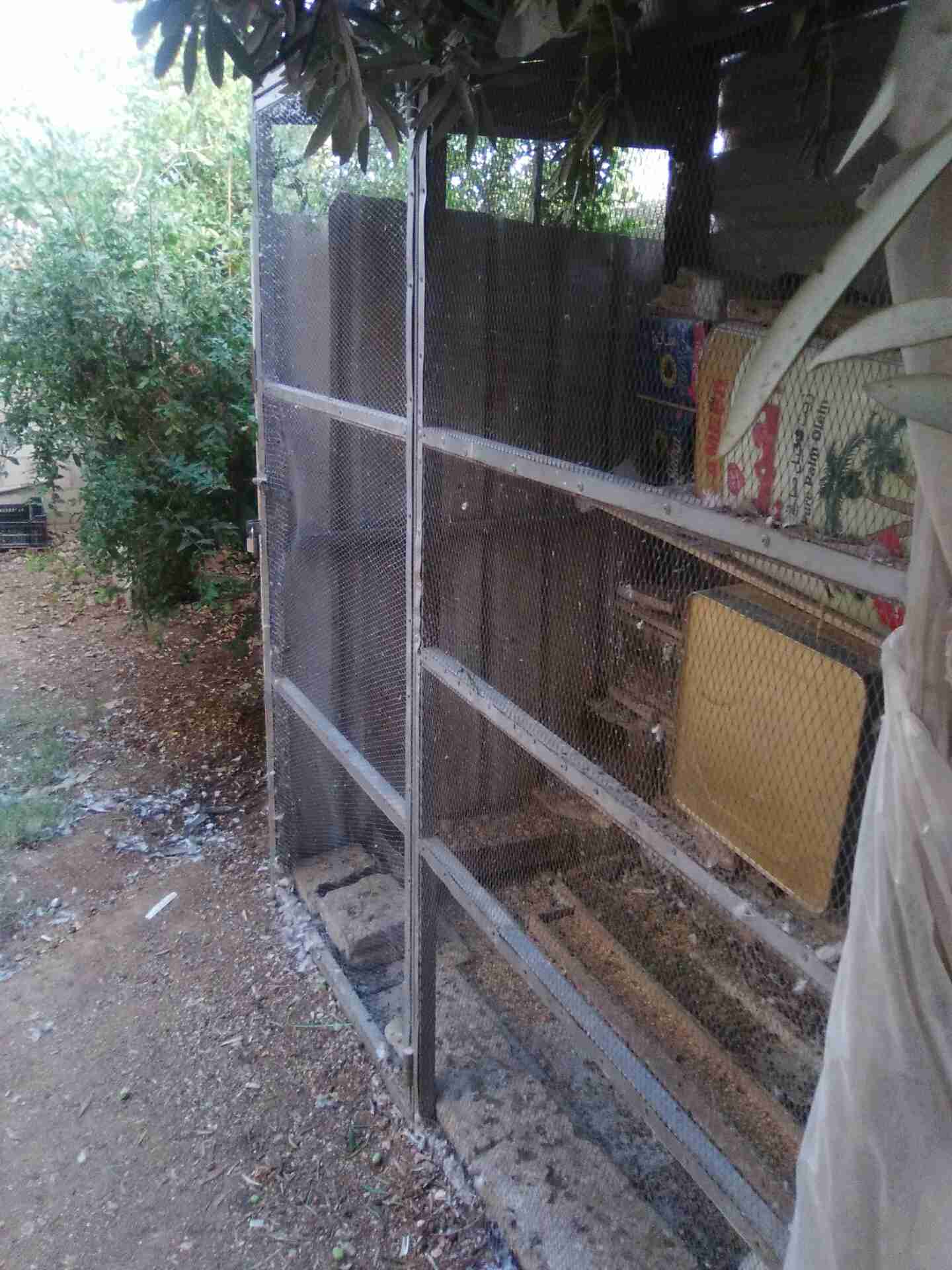 مطير يصلح لكافة أنواع الطيور جميل ومميز ومرتب 0789872665
لا تنسَ أنك شاهدت هذا الإعلان في عنكبوت...