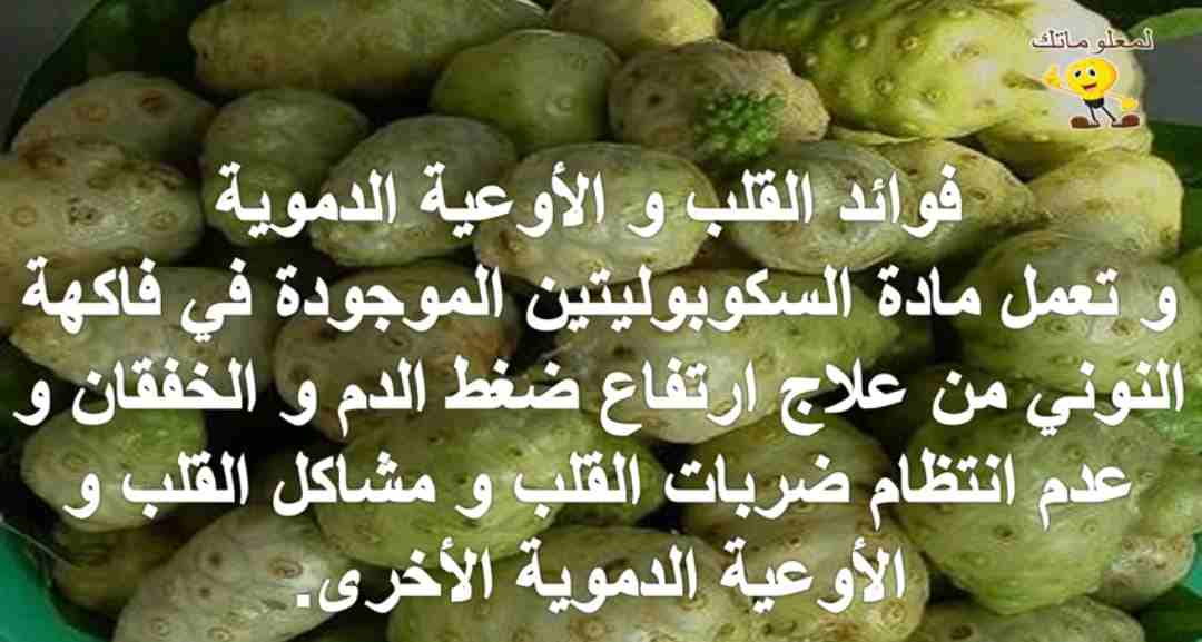 dxc مكملات غذاىيه صحيه
لا تنسَ أنك شاهدت هذا الإعلان في عنكبوت
مكملات غذائيه صحيه عضويه خاليه من...