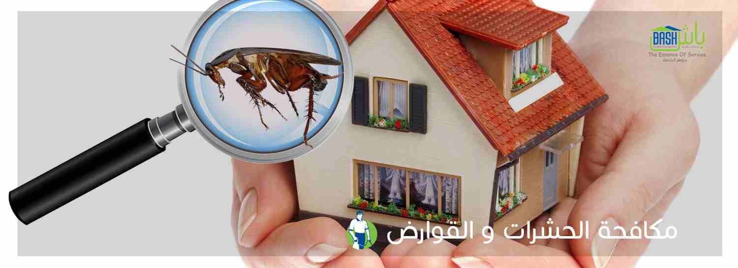 مكافحة الحشرات والقوارض - شركة باش لادارة المرافق                                            


	 				لا تنسَ أنك شاهدت هذا الإعلان في عنكبوت            
	 				
                            -خدمات...