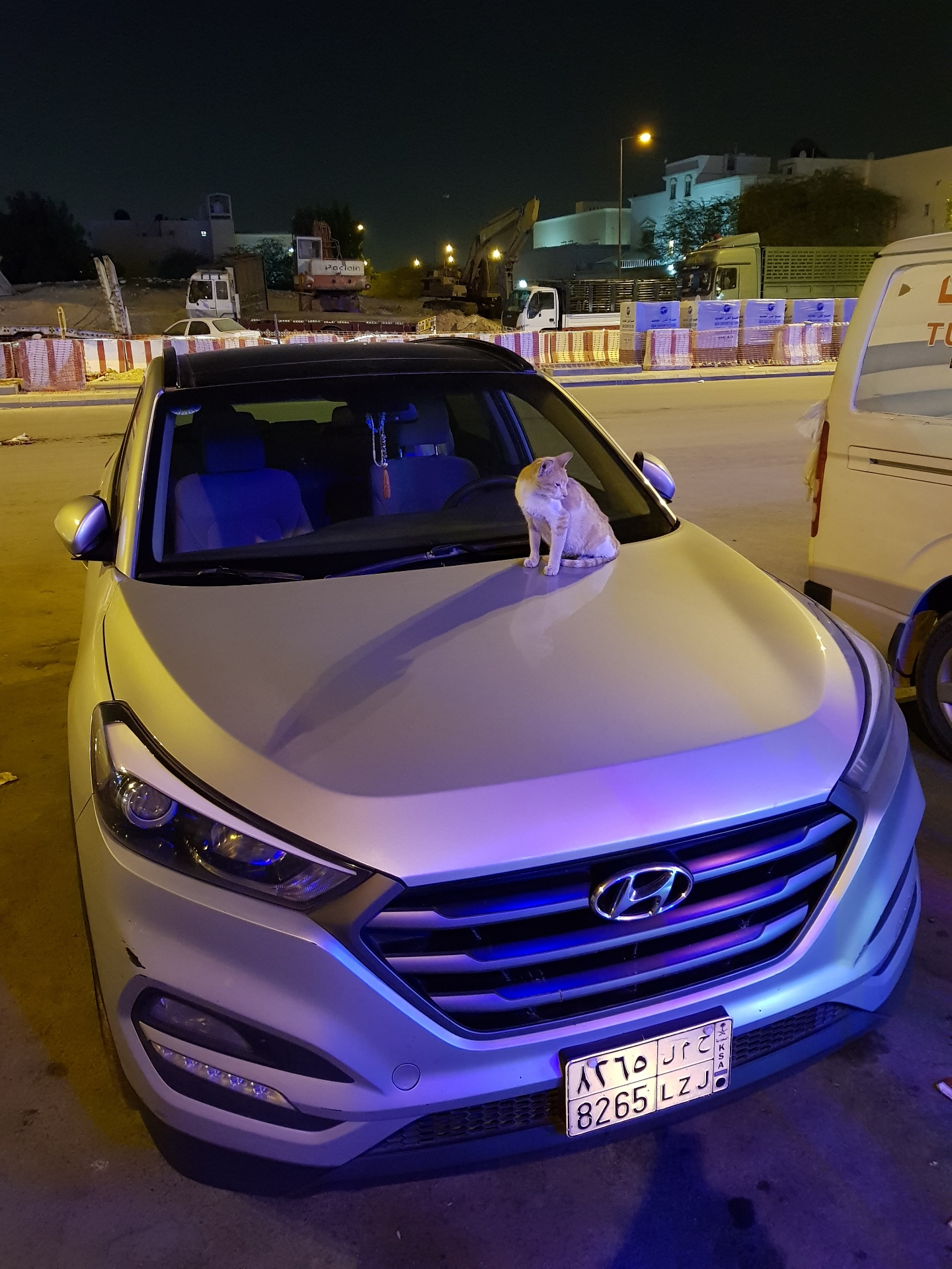 good condesin                                            


	 				لا تنسَ أنك شاهدت هذا الإعلان في عنكبوت            
	 				
                                96000 km 0...