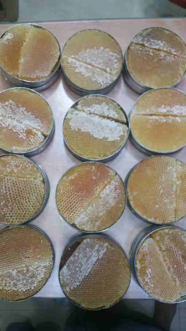 عسل دوعن سدر علاج قوي لجميع الامراض
لا تنسَ أنك شاهدت هذا الإعلان في عنكبوت
مركز ابو علي للعسل حض...