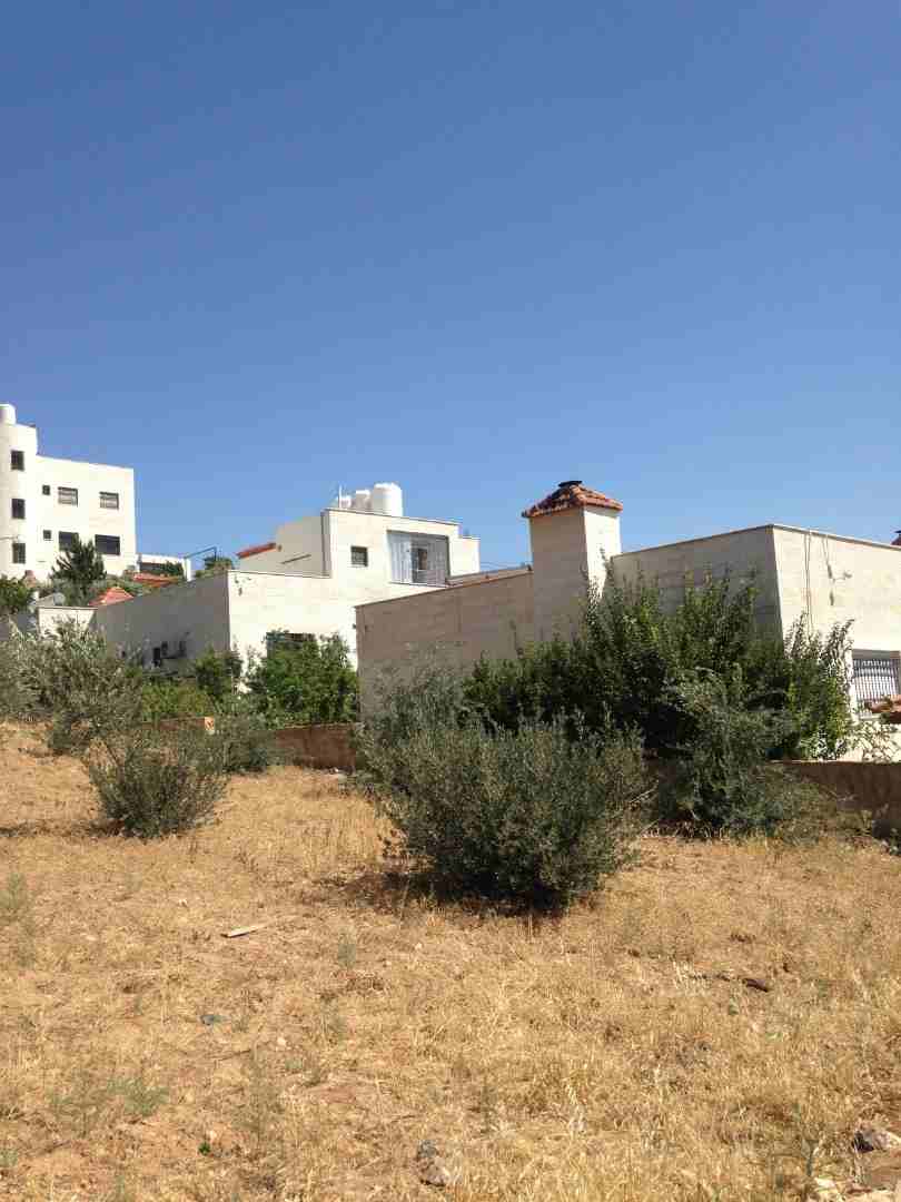 850 متر ابو نصير حوض ام بطمه موقع مميز من المالك
لا تنسَ أنك شاهدت هذا الإعلان في عنكبوت
ارض مسا...