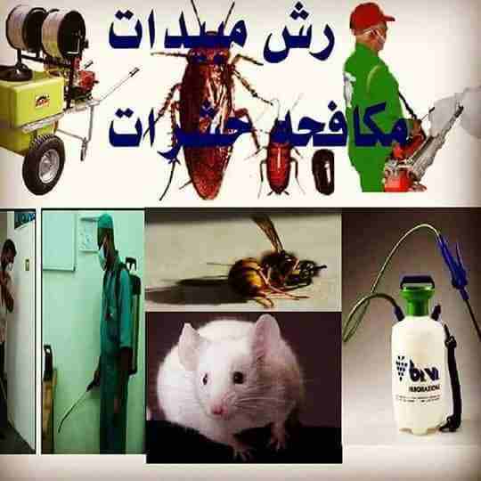 كشف تسربات المياه/ اعمال سباك حمامات مطابخ 0506795052                                            


	 				لا تنسَ أنك شاهدت هذا الإعلان في عنكبوت            
	 				
                            كشف...
