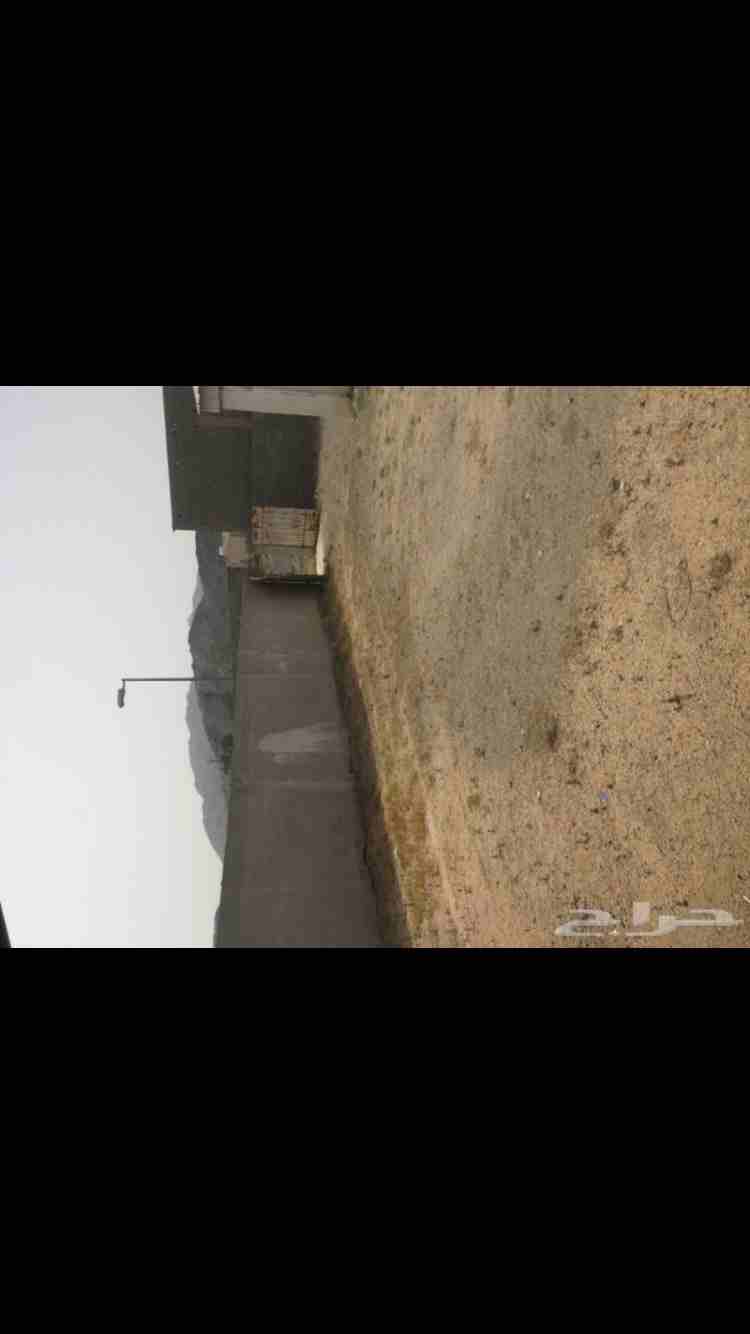 استراحه للبيع
لا تنسَ أنك شاهدت هذا الإعلان في عنكبوت
استراحه للبيع في الشرائع الكشبه بجوار الخط...