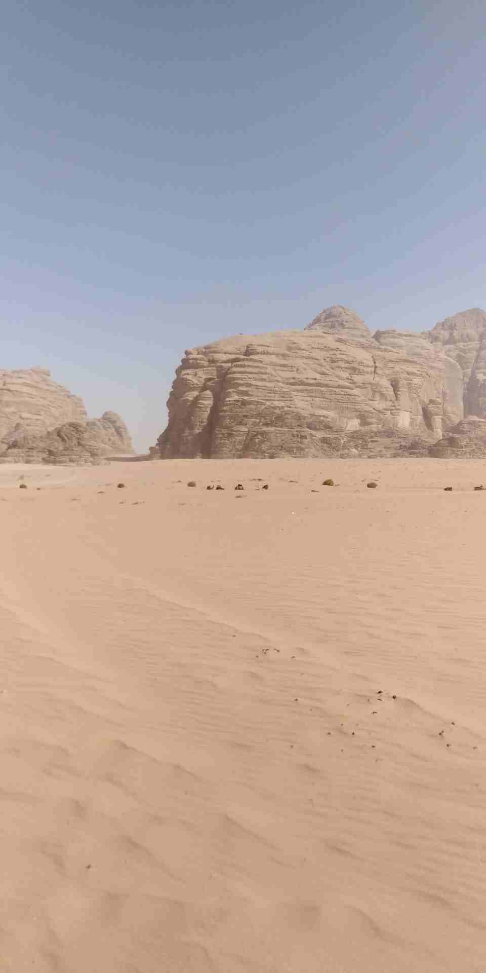 رحلات في الاردن احجز رحلات إلى البتراء وادي رم العقبة جرش عجلون
لا تنسَ أنك شاهدت هذا الإعلان في عنكبوت...