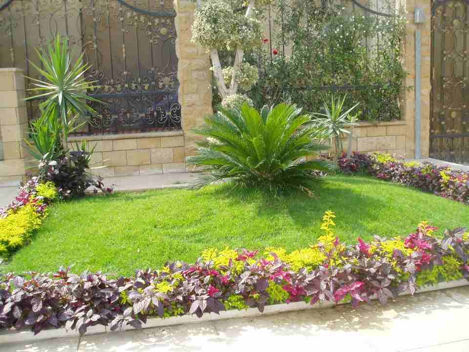 العلاونه لتنسيق الحدائق فلل وقصور 0796516675
لا تنسَ أنك شاهدت هذا الإعلان في عنكبوت
تنسيق حدائق...