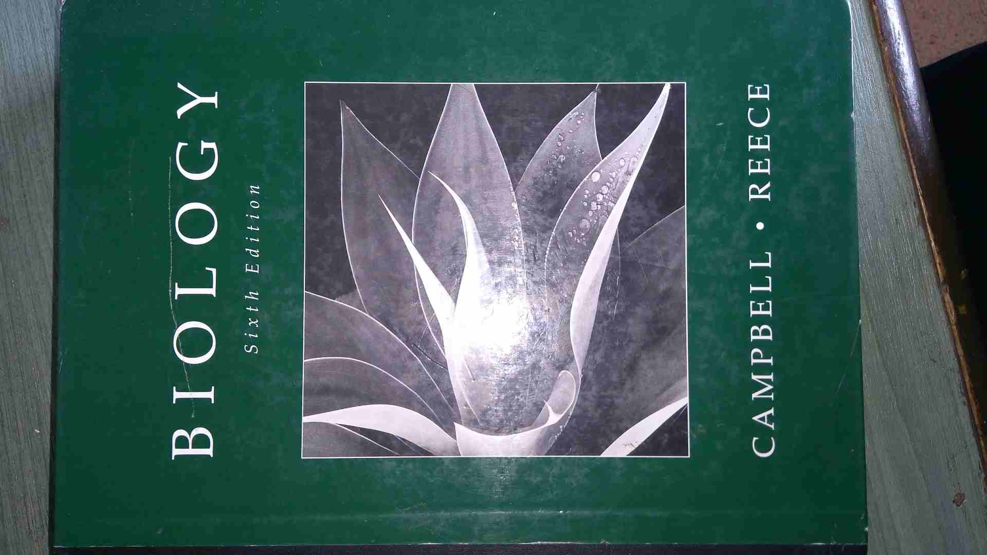 كتب طبية بحاله فوق الممتازه وكأنها جديده
لا تنسَ أنك شاهدت هذا الإعلان في عنكبوت
كتب طبيه وكاله...