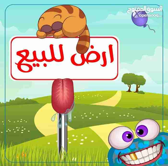 ارض 500م للبيع في طبربور                                            


	 				لا تنسَ أنك شاهدت هذا الإعلان في عنكبوت            
	 				
                                اولا --- 500 متر طبربور - مط...