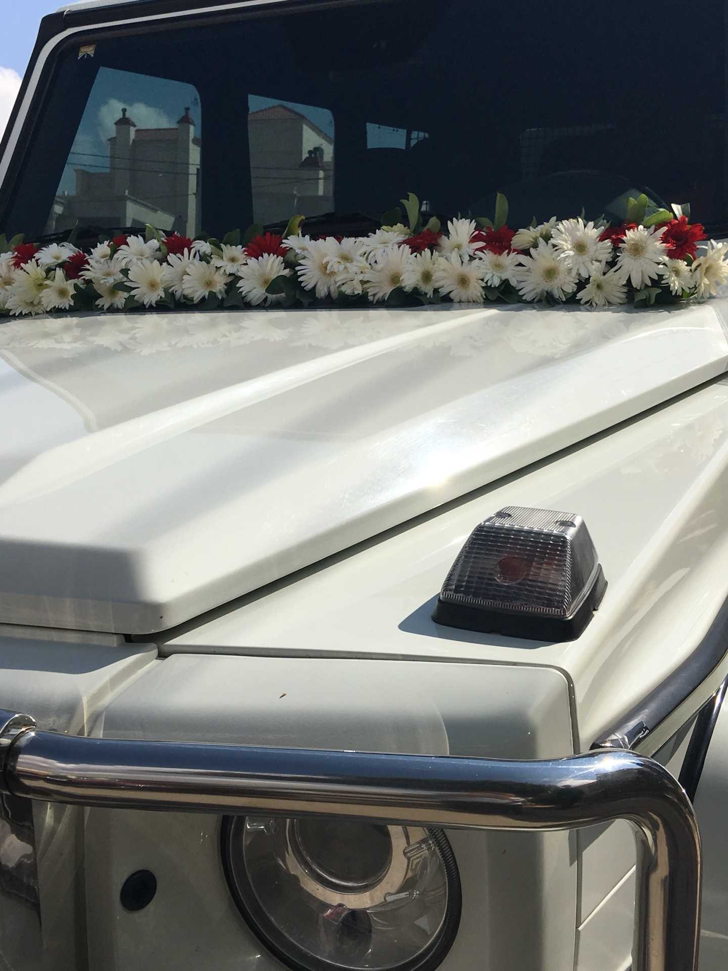 لحق العرض جي كلاس لأول مره من المالك مباشره فقط ب 150 دينار                                            


	 				لا تنسَ أنك شاهدت هذا الإعلان في عنكبوت...