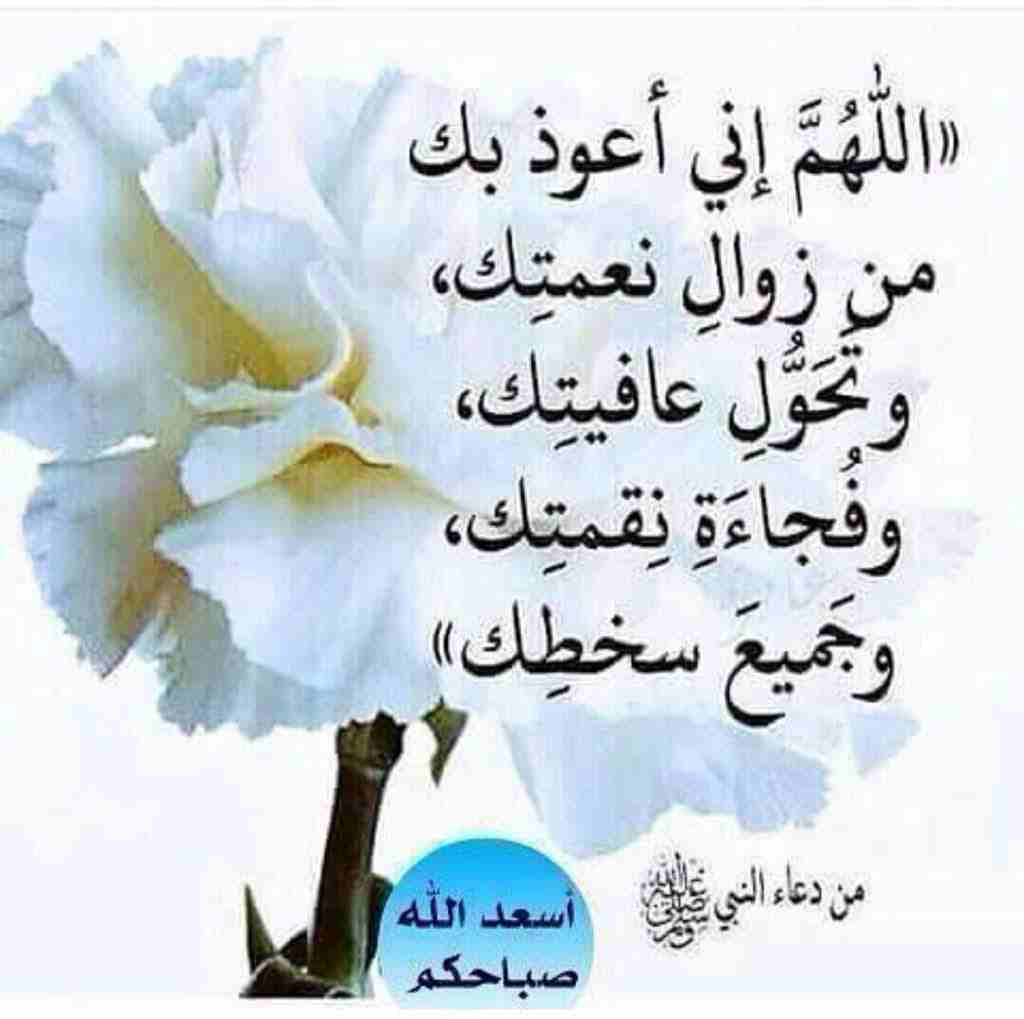 شراء سيارات شطب
لا تنسَ أنك شاهدت هذا الإعلان في عنكبوت
ابوعبدالله المحسيري لشتري جميع انواع السي...