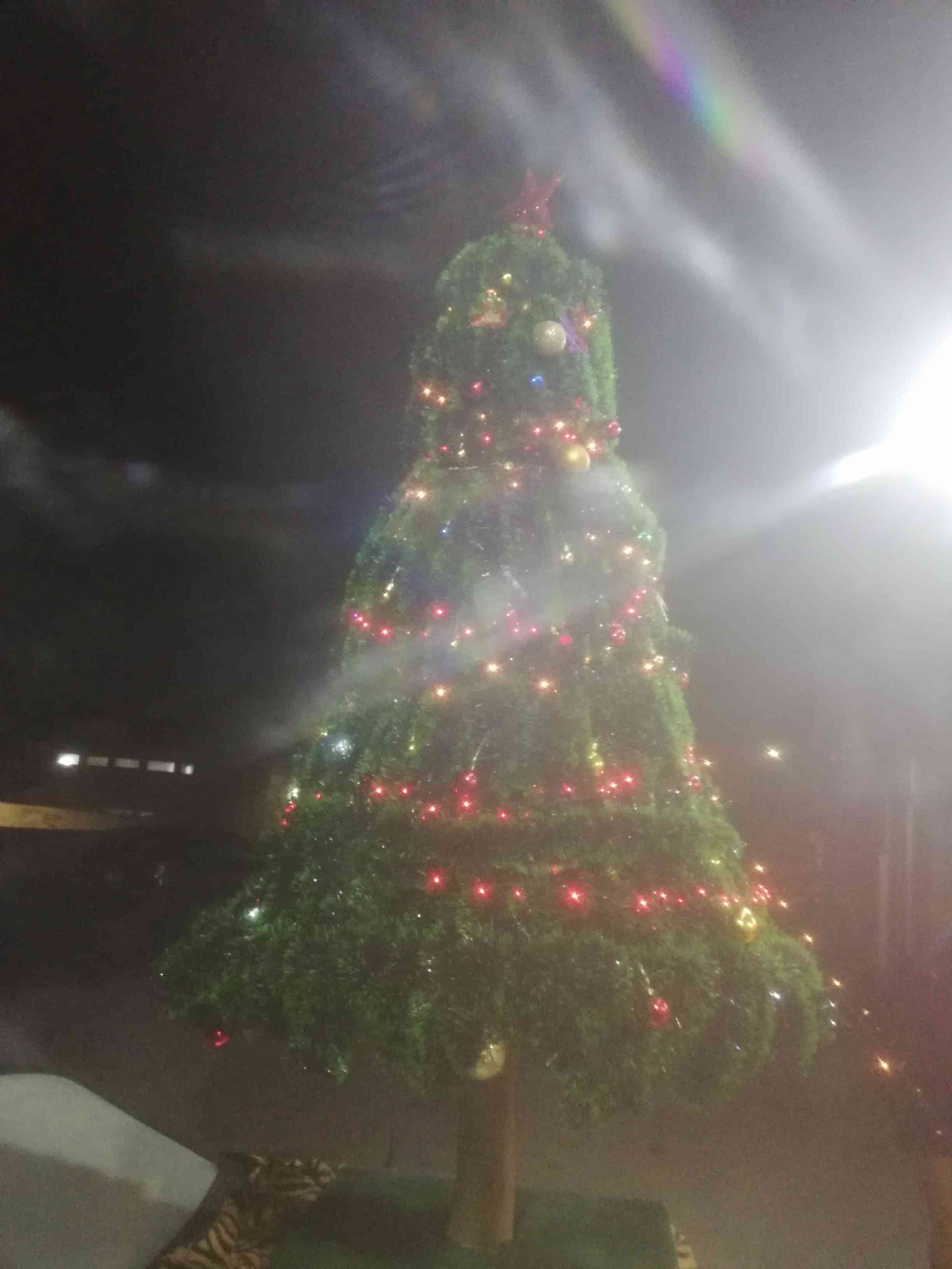 شجرة عيد الميلاد للبيع
لا تنسَ أنك شاهدت هذا الإعلان في عنكبوت
شجرة عيد الميلاد خشب صناعه يدو...