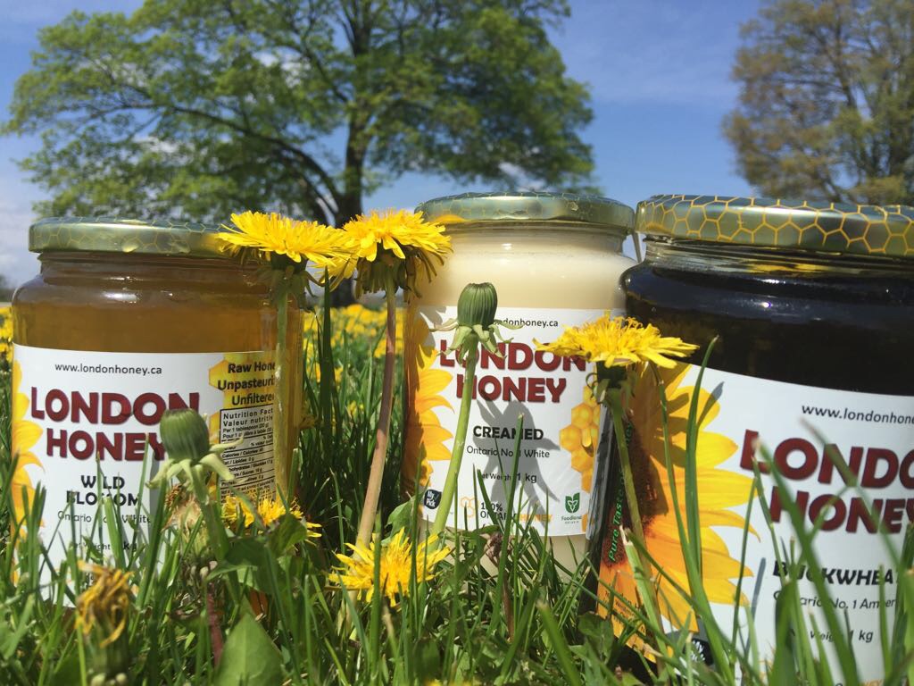 عسل كندي طبيعي حر صافي raw honey                                            


	 				لا تنسَ أنك شاهدت هذا الإعلان في عنكبوت            
	 				
                                عسل حر انتاج مراعي ك...