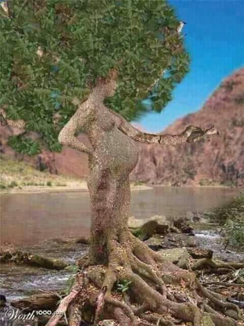 صيانه وتشطيب ابنيه                                            


	 				لا تنسَ أنك شاهدت هذا الإعلان في عنكبوت            
	 				
                                كافة اعمال الكهرباء و ديكورات جبصن...