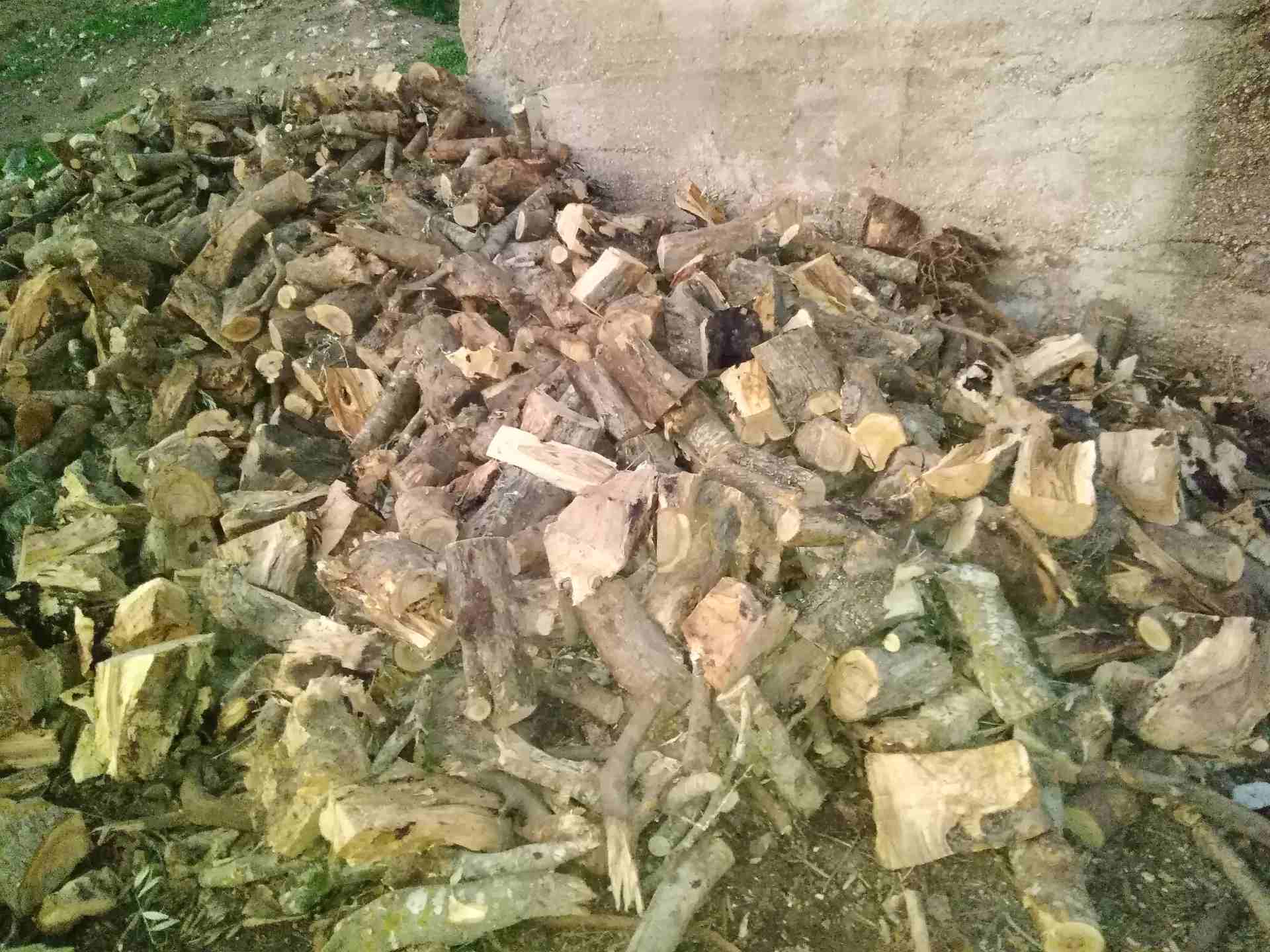 حطب زيتون ناشف زند وفرامي (120زند 110قرامي)
لا تنسَ أنك شاهدت هذا الإعلان في عنكبوت
حطب زيتون ناش...