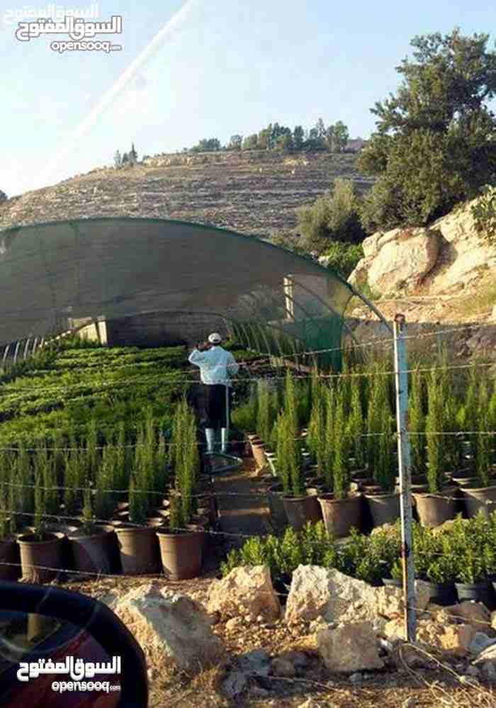 ارض للبيع ناعور وسيل حسبان قرب النبع
لا تنسَ أنك شاهدت هذا الإعلان في عنكبوت
ارض للبيع
اراضي نا...