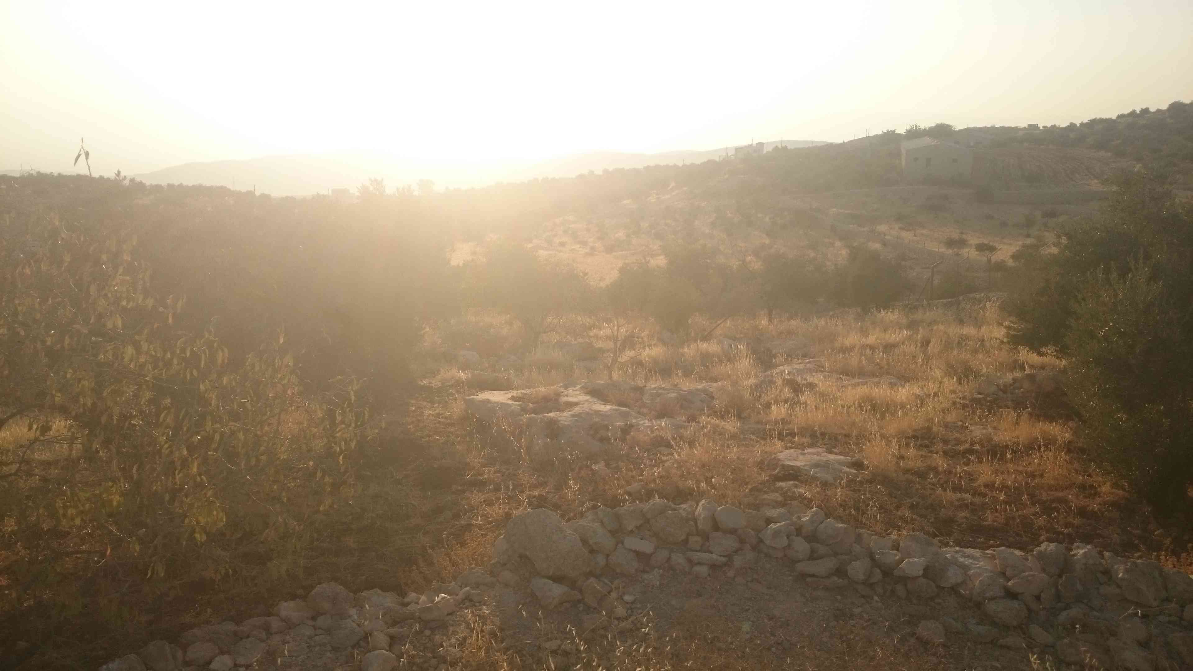 مزرعه مطله على الضفه الغربيه في عراق الامير حوض العميريه والفحص
لا تنسَ أنك شاهدت هذا الإعلان في عنكبوت...