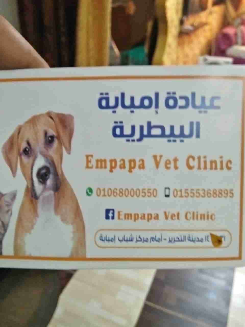 كلب  جريفون                                            


	 				لا تنسَ أنك شاهدت هذا الإعلان في عنكبوت            
	 				
                                كلب جريفون واخد التطعامات ومعاه حامل بتاع...