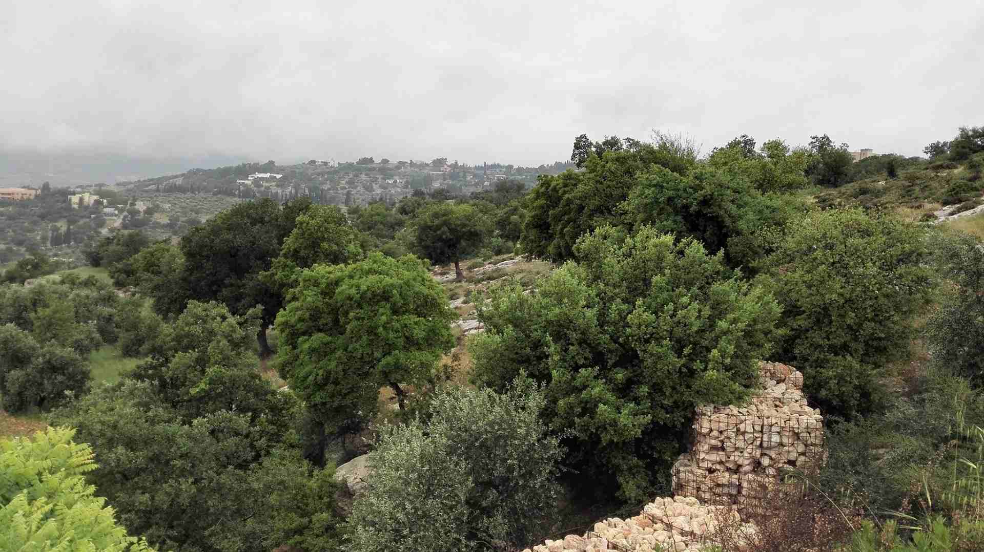 منطقه فلل بطابع ريفي 633م بدر الجديده
لا تنسَ أنك شاهدت هذا الإعلان في عنكبوت
أرض للبيع ، بدر الج...