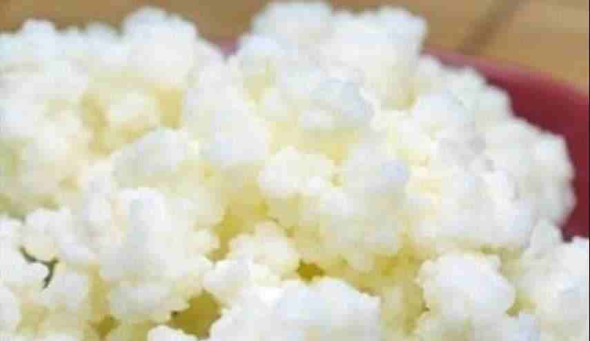 فطر الهندي                                            


	 				لا تنسَ أنك شاهدت هذا الإعلان في عنكبوت            
	 				
                            يتوفر لدينا الفطر الهندي .... يستخدم مع الحليب...