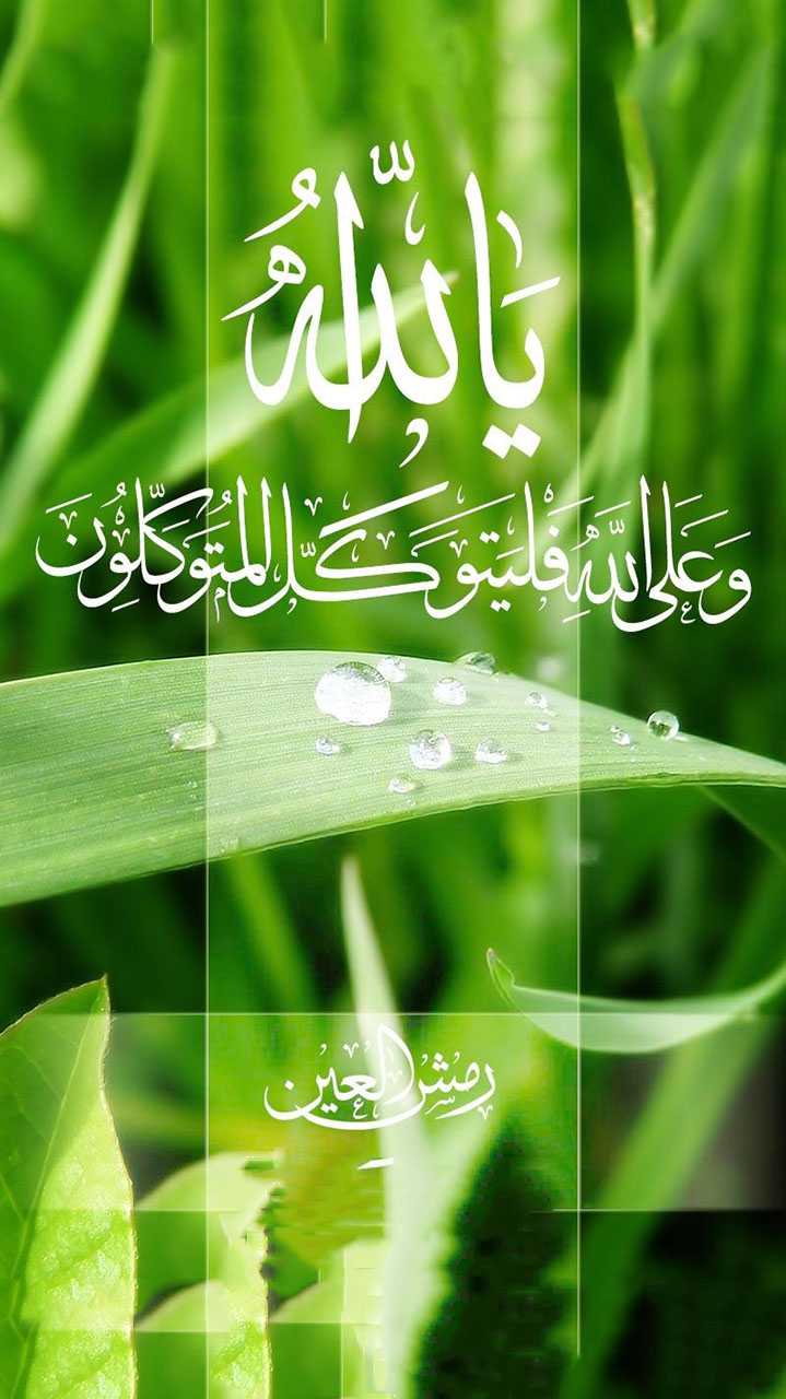 خالد احمد
لا تنسَ أنك شاهدت هذا الإعلان في عنكبوت
خالد احمد...