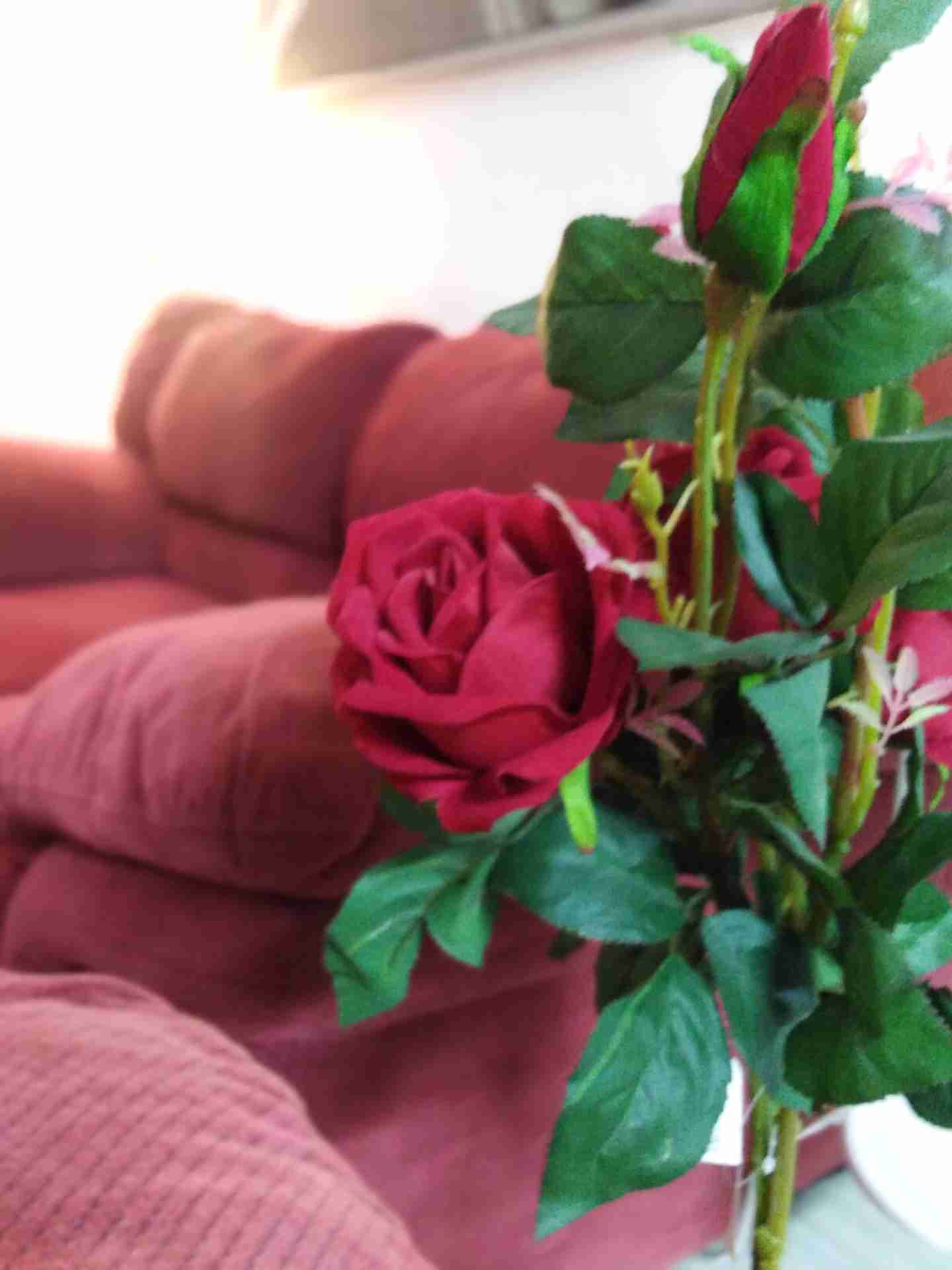 كنب الدب امريكي
لا تنسَ أنك شاهدت هذا الإعلان في عنكبوت
كنب الدب أمريكي ثقيل
صوفا ثنائيه و مف...