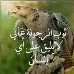 راس سنقل                                            


	 				لا تنسَ أنك شاهدت هذا الإعلان في عنكبوت            
	 				
                                مطلوب تريلا سنقل مع عربايه قلاب موديل 2000 ل...