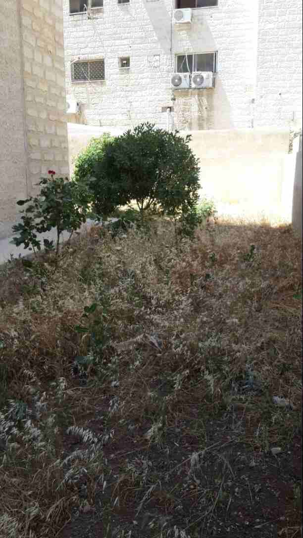شقه ارضيه مع حديقه واسعه للبيع مساحه 130م في شارع عبدالله غوشه
لا تنسَ أنك شاهدت هذا الإعلان في عنكبوت...