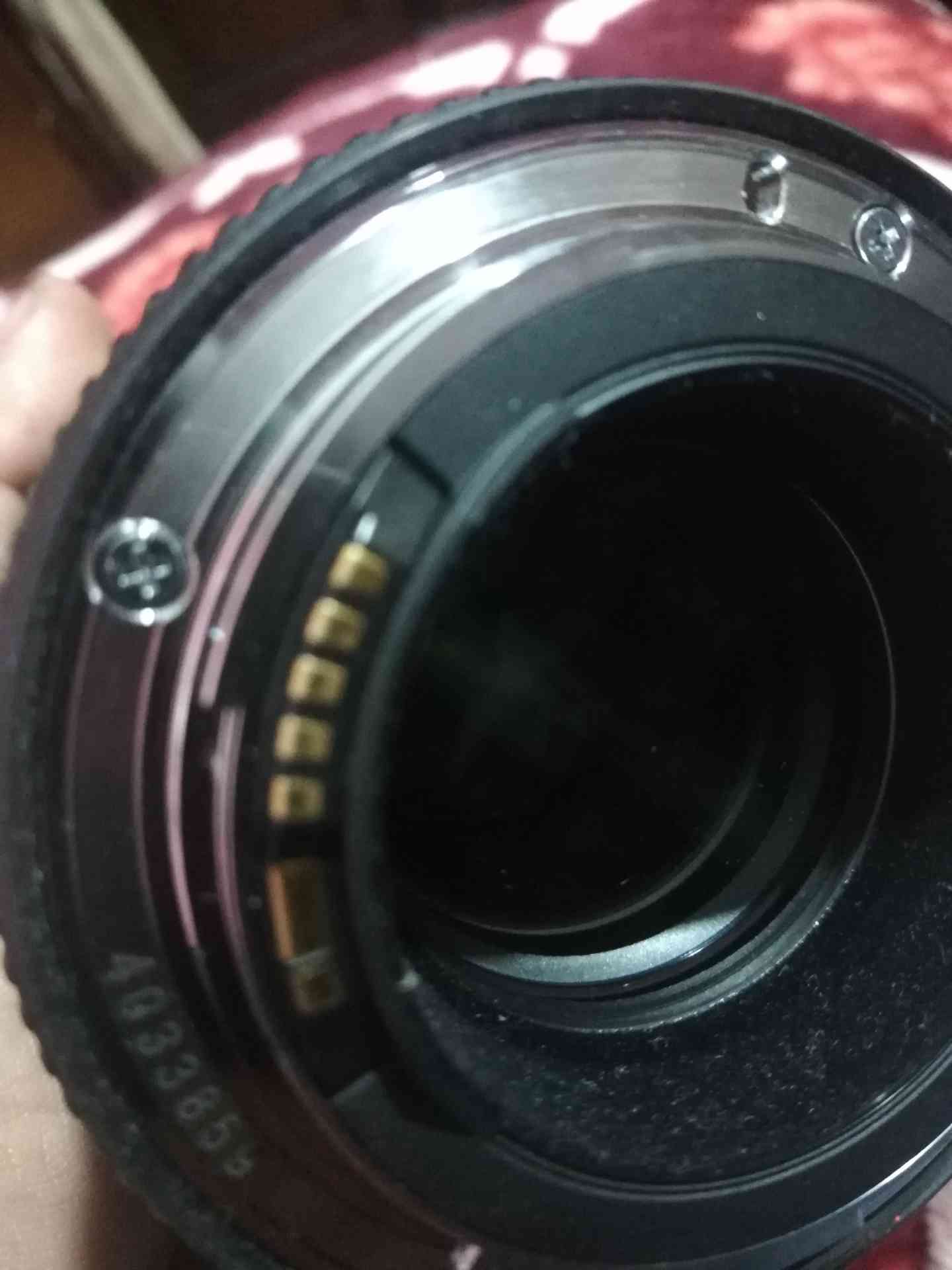 canon 100 mm f2.8
لا تنسَ أنك شاهدت هذا الإعلان في عنكبوت
canon 100 mm macro red line
canon
f...