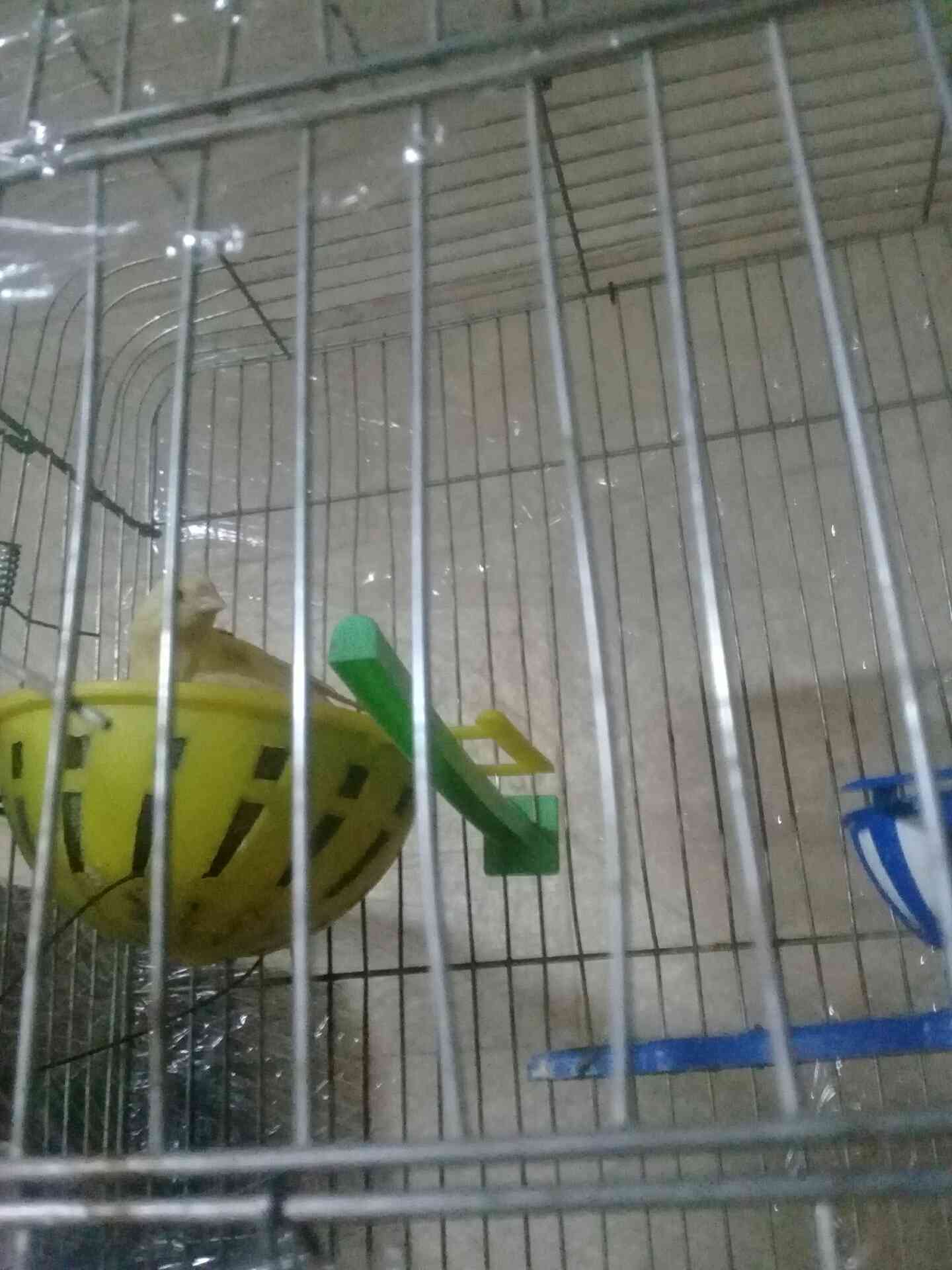 جبل الزهور
لا تنسَ أنك شاهدت هذا الإعلان في عنكبوت
بصلى على نبي الله يطرح بركه صاحب نصيب البي...